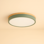 Skandinavisk Loftlampe med Træ - Moderne Hjemmebelysning