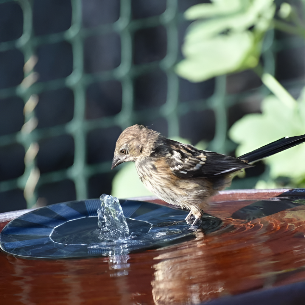 Flydende Solcelle Springvand - Cirkulært