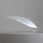 Oval Glasprojektion Projektor - Dekorativ Accent