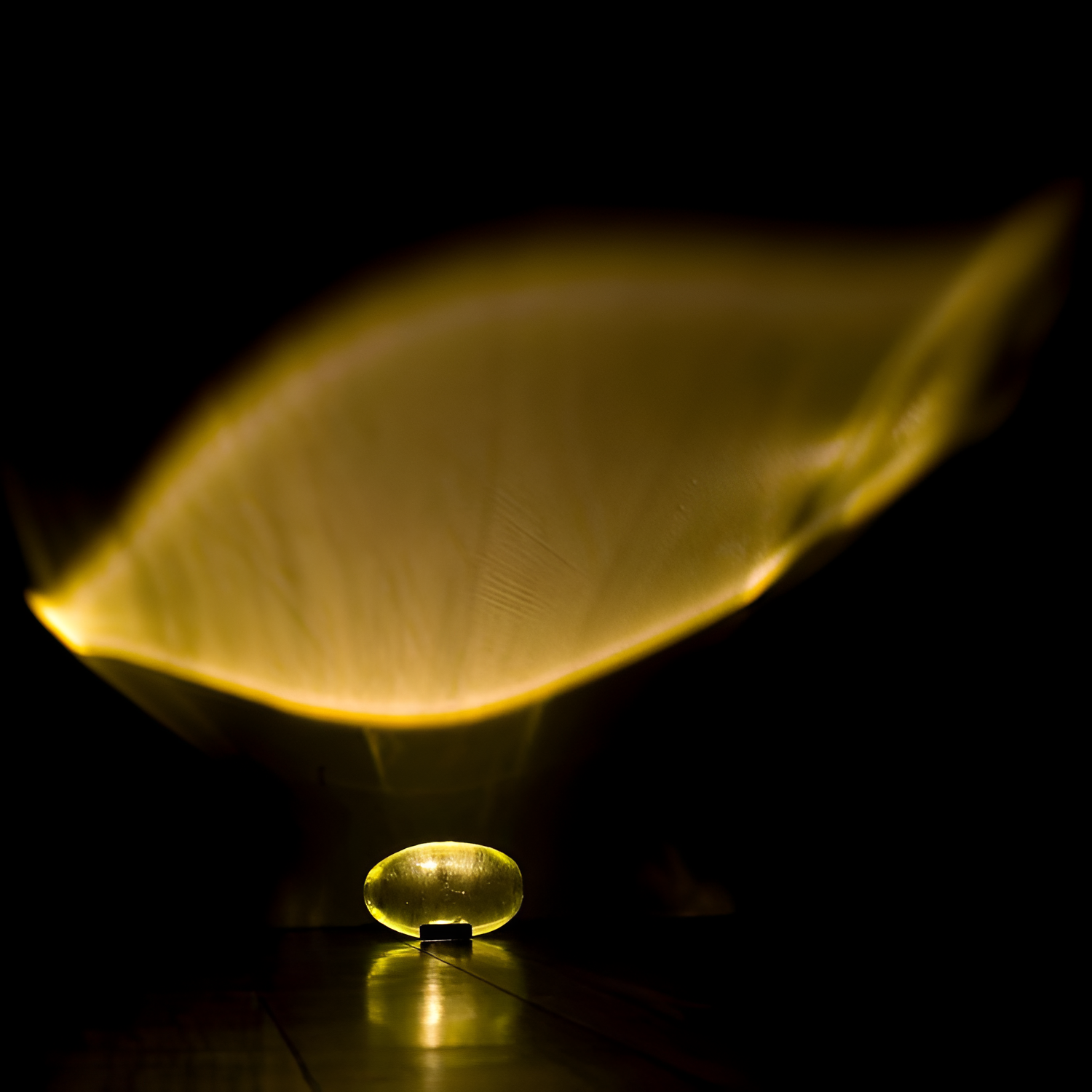 Oval Glasprojektion Projektor - Dekorativ Accent