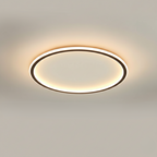 Mysaglobe Skandinavisk Rund Loftslampe | Aluminium Plus Jernfremstillet